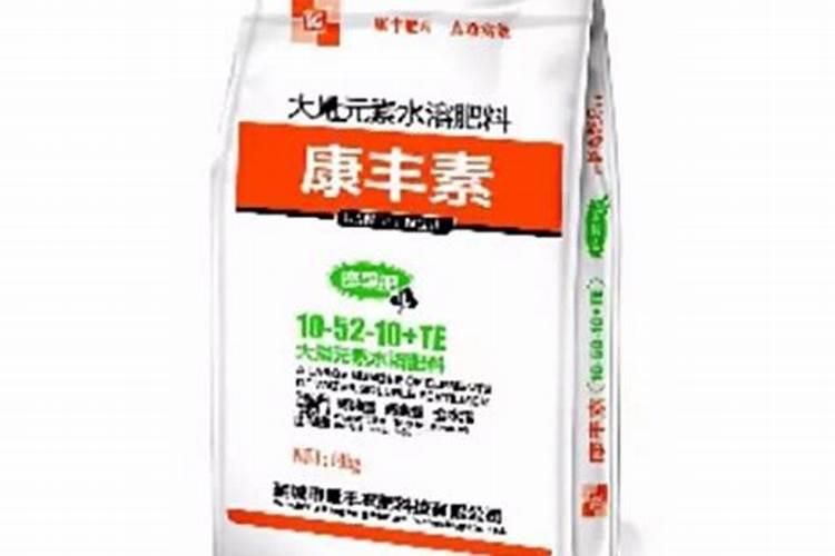 家庭盆栽石斛施什么肥料最好