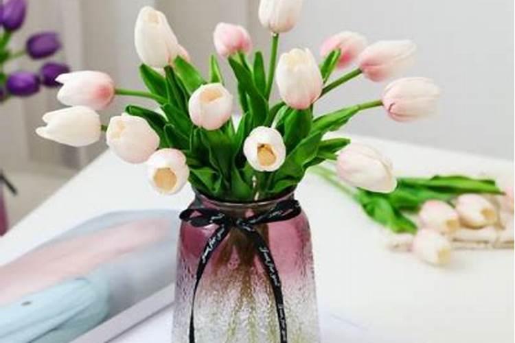 郁金香喜欢什么肥料