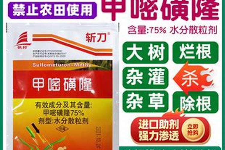 番石榴多久发芽