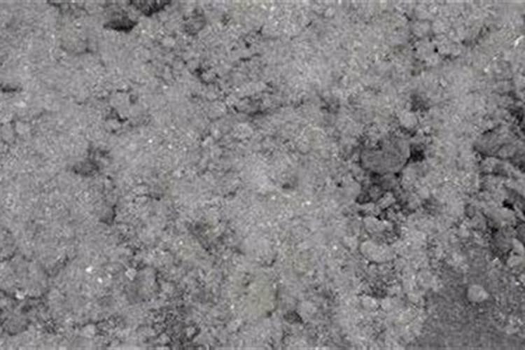 茂名市电白区德志农资有限公司怎么样？