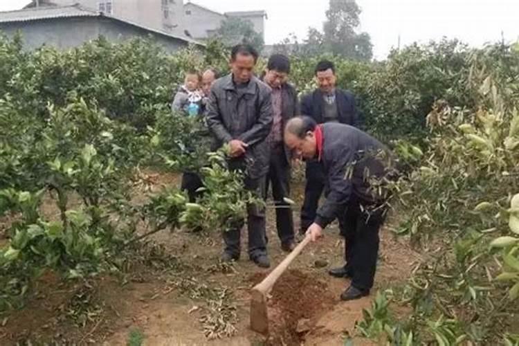 正规化肥有什么标识