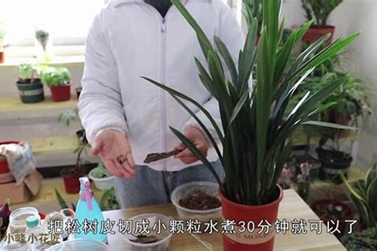 氧化钙水产养殖用法用量