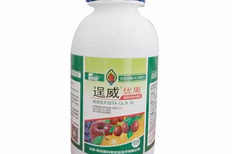 多肉植物六月份应该如何浇水及施肥？