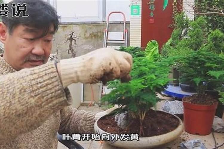 甘肃水溶肥设备厂家,甘肃水溶肥设备供应厂家电话价格地址