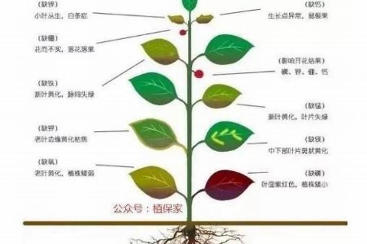 硫和硼反应的条件是加热还是高温？需要用锑做催化剂吗？