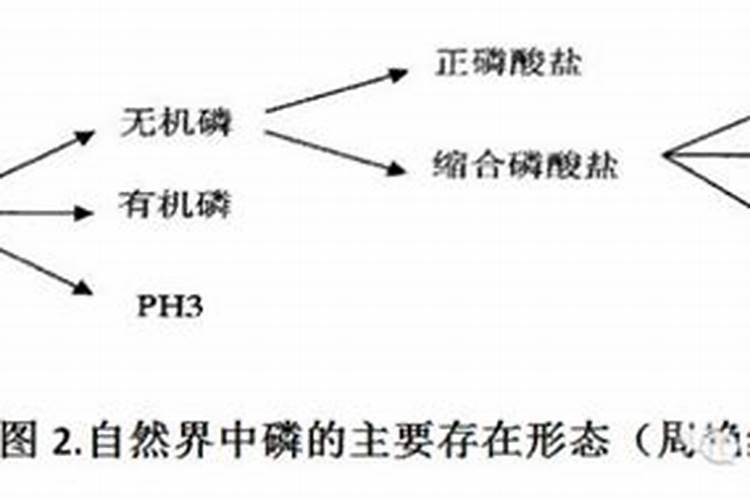 植物蛋白饮料有哪些
