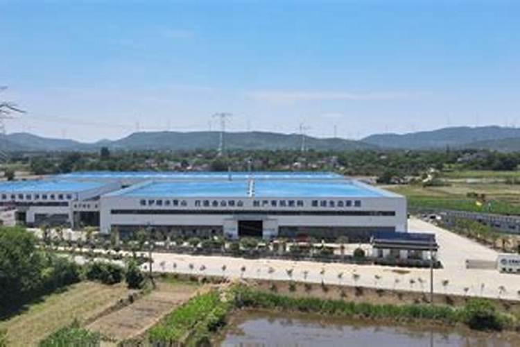 国内氨基酸水溶肥生产厂家有哪些？