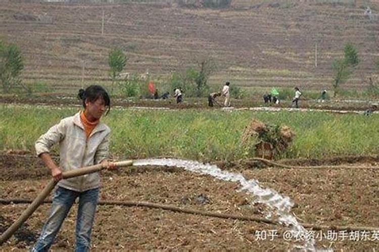 矿源黄腐酸钾对盐碱地有用吗？调节土壤冲施矿源一亩地多少用量