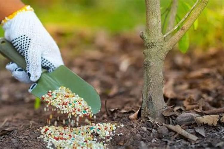 怎样正确使用磷酸二氢钾？