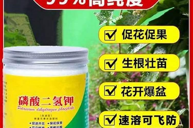 基肥用什么化肥