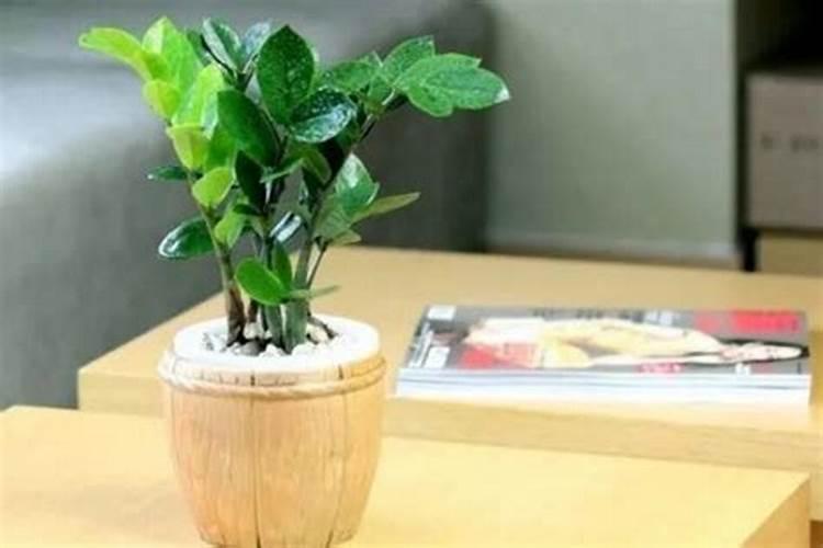 夏黑葡萄转色期肥水管理!怎样促早熟果实膨大