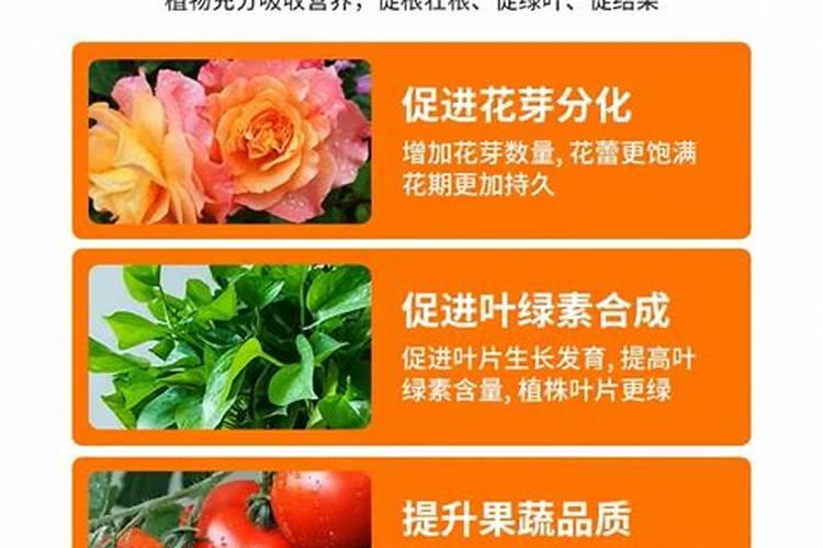 硝酸磷肥如何使用？硝酸磷肥的作用