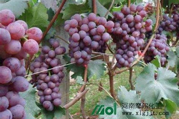 企业节能减排金点子