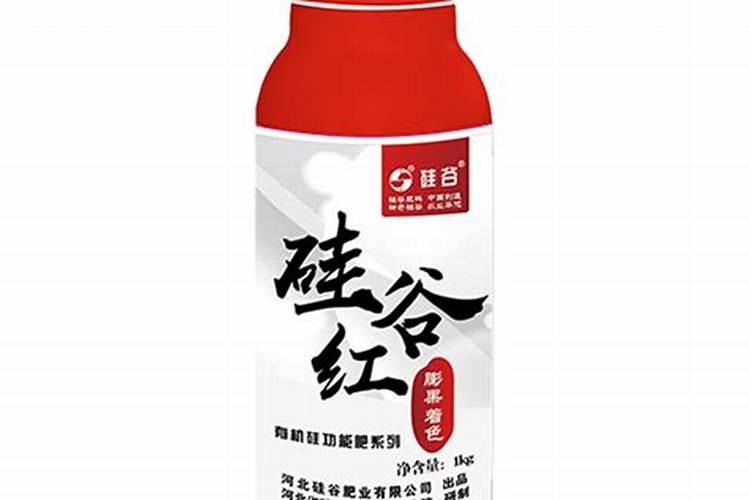 桑树叶泡水喝降血糖吗