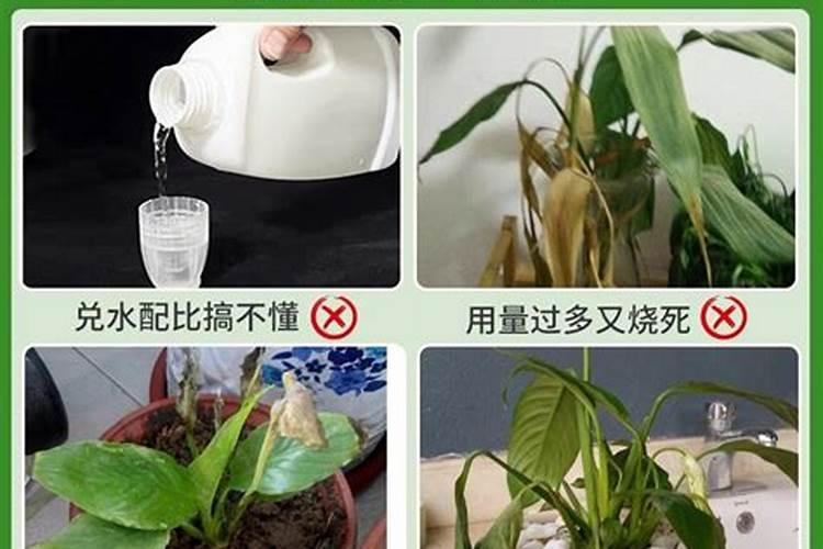 硼肥有哪些作用 硼肥的9大施用误区