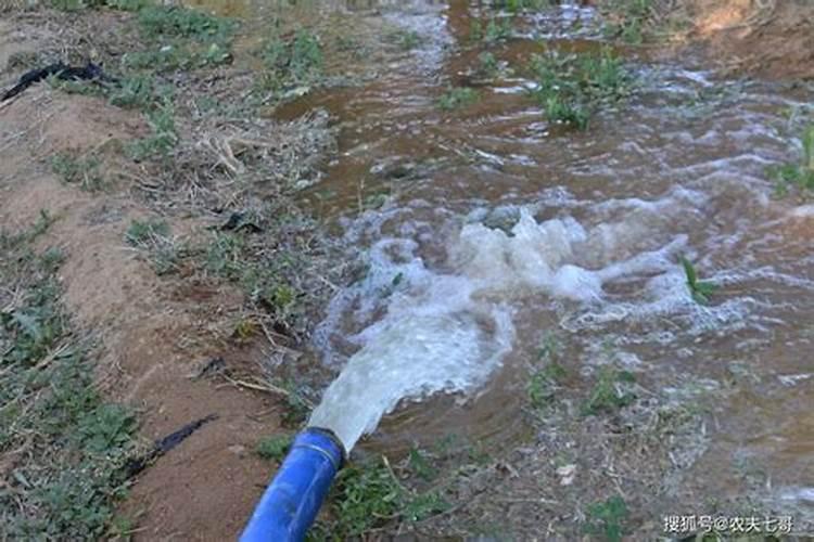 德图海藻教大家如何辨别海藻肥的真假、好坏!