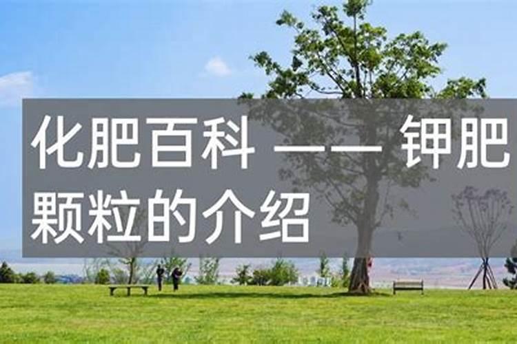 钾肥的最佳使用时间