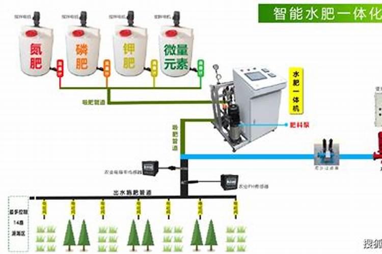 大棚黄瓜根系不发达,根系弱怎么办？冬季大棚黄瓜怎样管理才能高产百度...