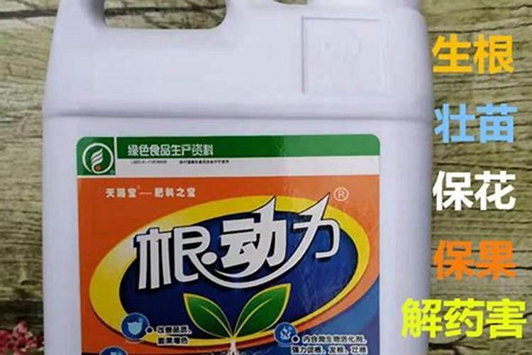果树三个追肥最佳时间
