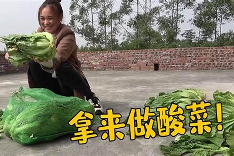 玉米施尿素好还是硝酸磷好？