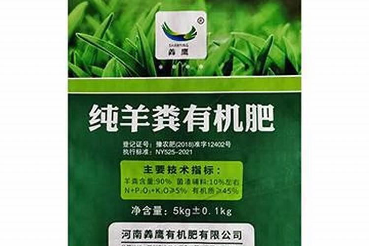 沈诗雨为艺术现身的电影是哪部