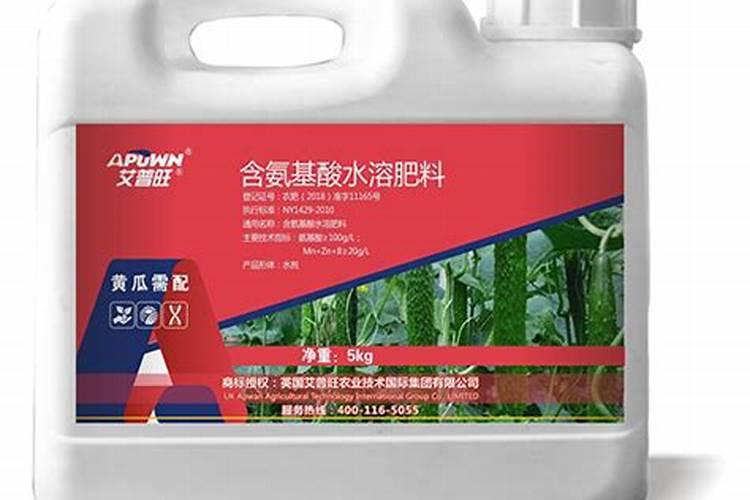 三角梅不长叶子怎么回事