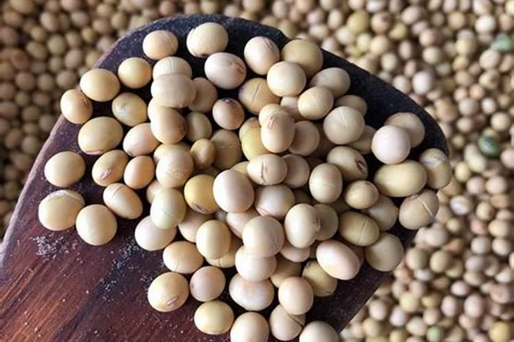 黄腐酸钾多少钱一桶80斤