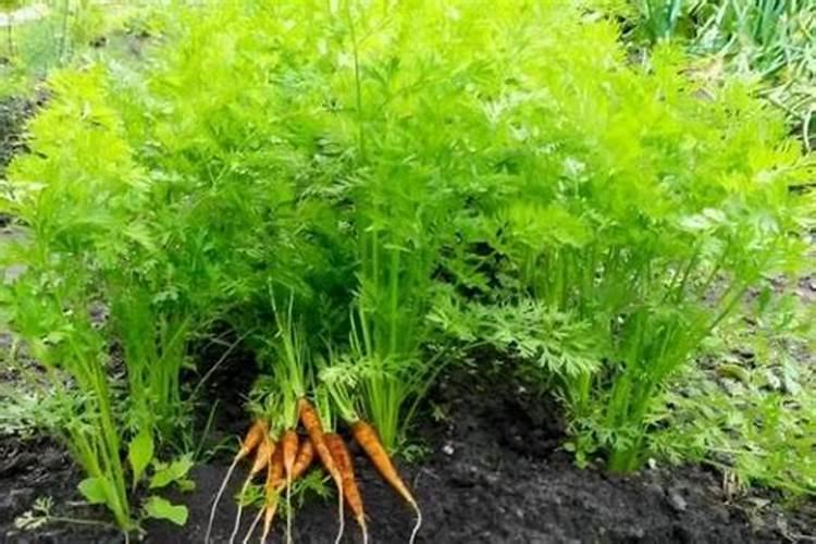 魔幻!新能源汽车骗补又起,40亿税收打水漂!