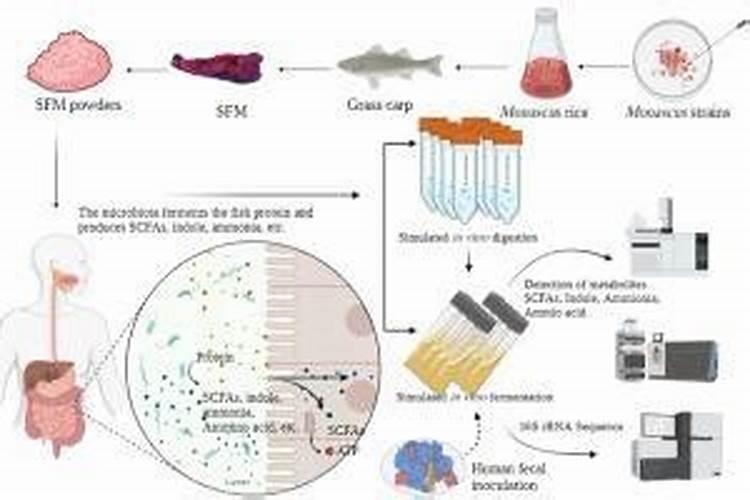 雨后大棚蔬菜需要立即通风降温吗