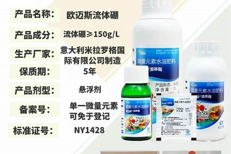 鸿运当头花价格 多少钱一盆