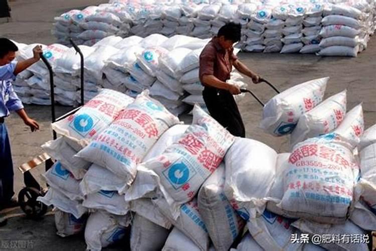 葡萄树春季施肥选啥肥好？