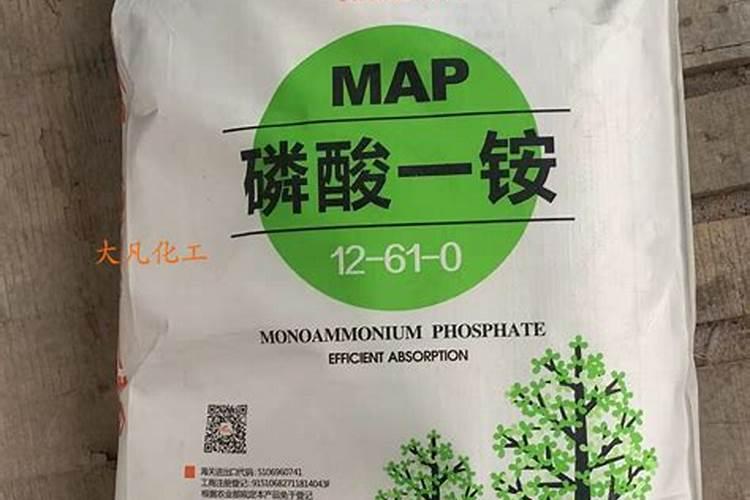 地栽樱花树多久浇一次水