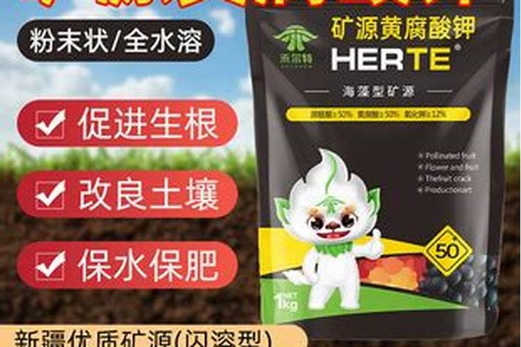 黄瓜栽培可施用的锌肥有哪些？