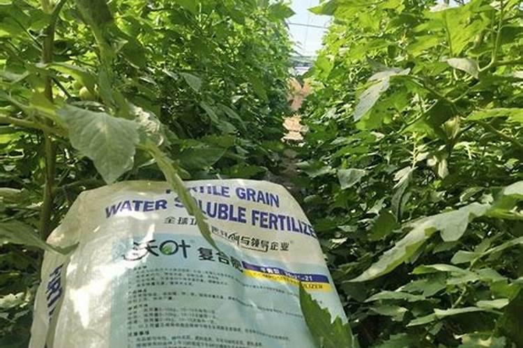 农业种植用颗粒水溶肥真的好吗？