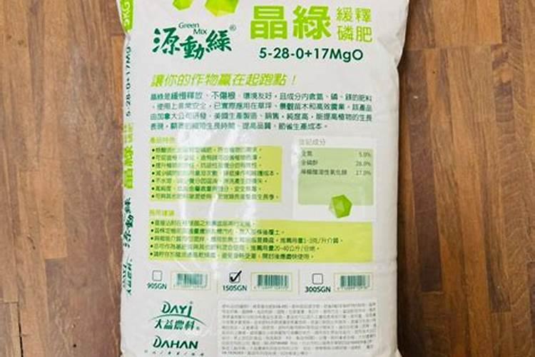 大棚蔬菜怎么育苗: