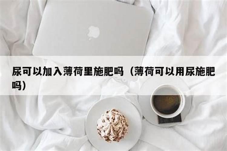 平时在家怎么给盆栽薄荷施肥？