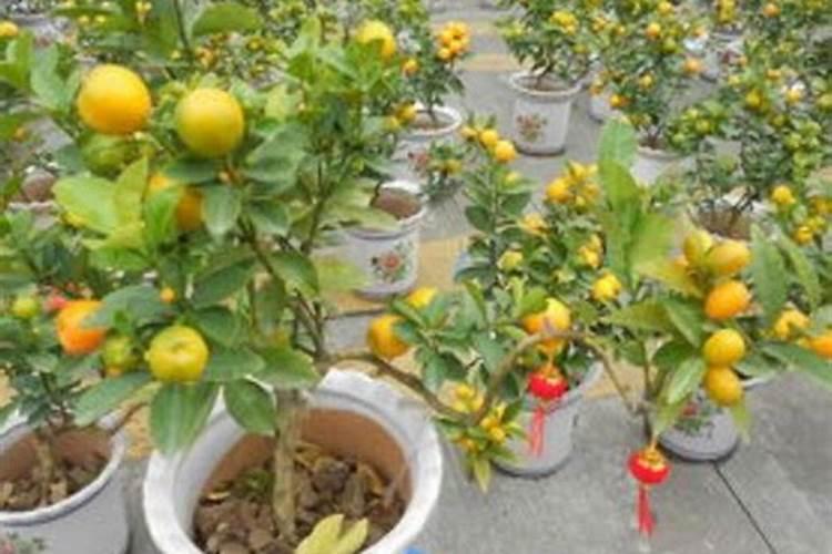 氮气是制造氮肥的重要原料
