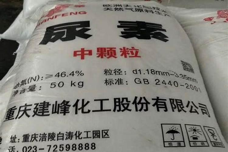 兰花如何施氮肥