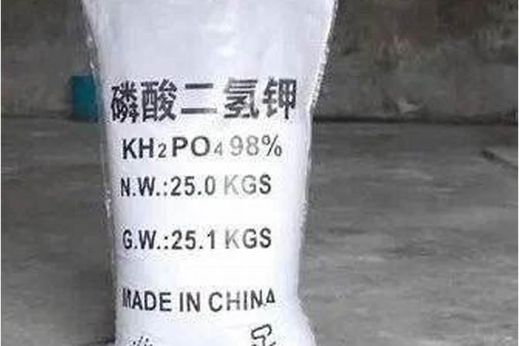 三角梅开花季节,太阳晒控水磷酸二氢钾也浇了怎还不开花？