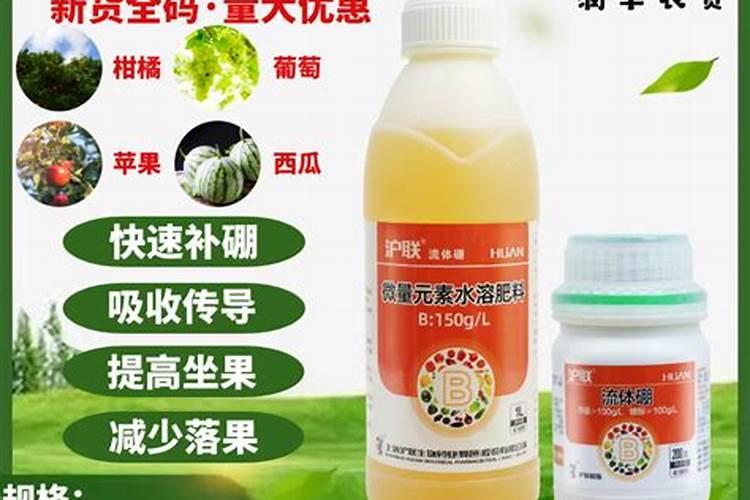 硼肥在什么时候喷施好