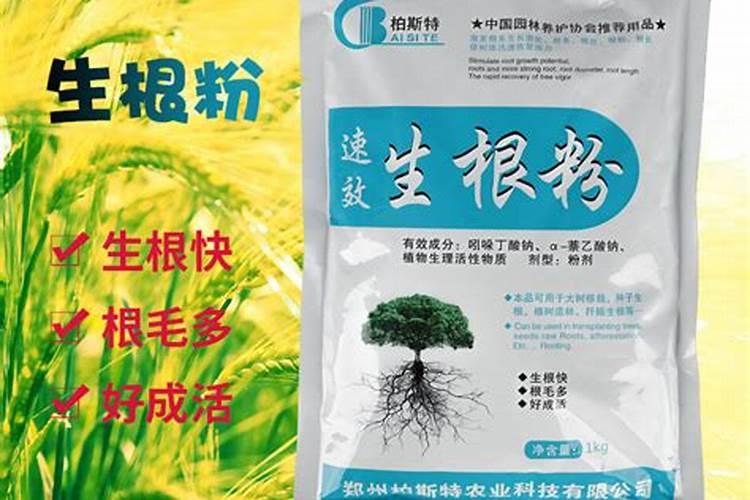 买花赠送的肥料如何辨别真假并安全使用？