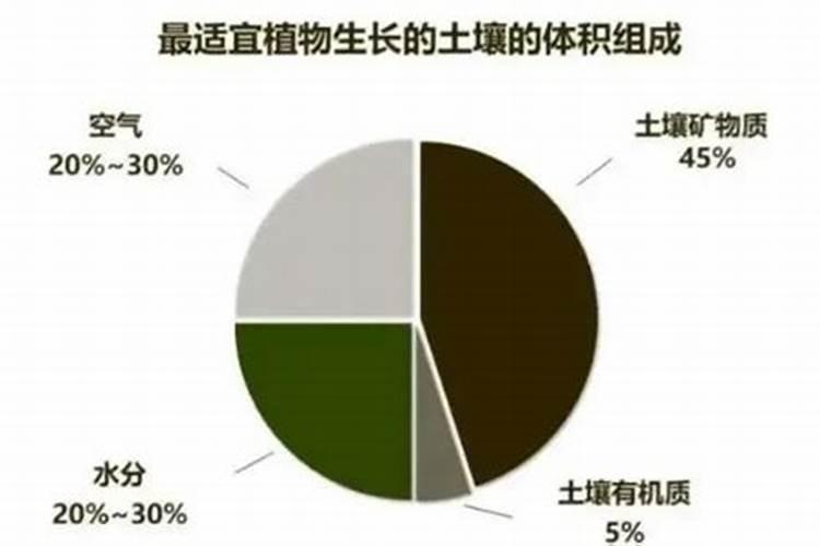 不肥沃的地适合种什么