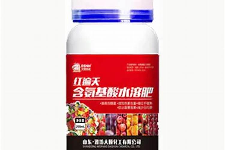 苏州最近的沙滩苏州出发去哪里看海最便宜