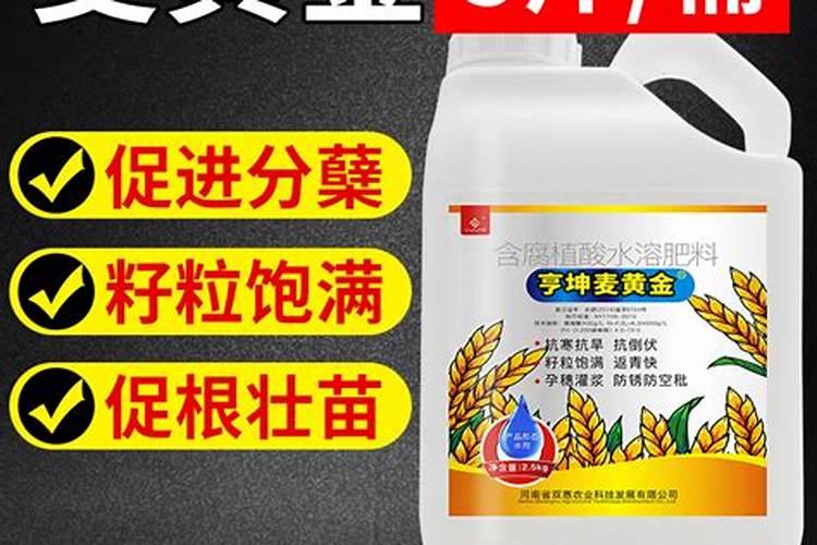 叶面肥怎么用？小麦叶面肥。