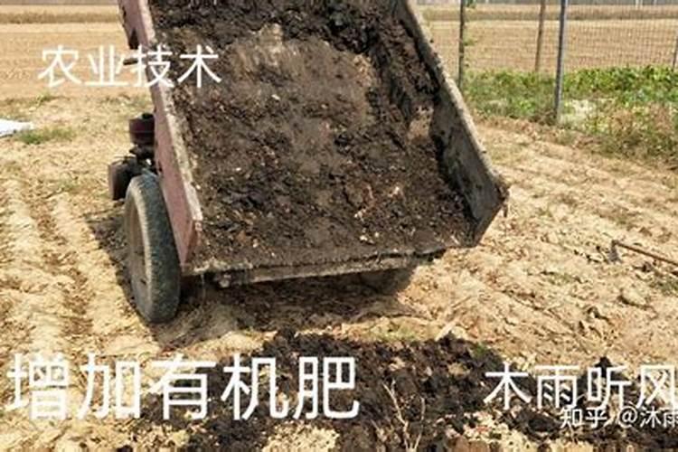 硼肥的施用方法有哪些？