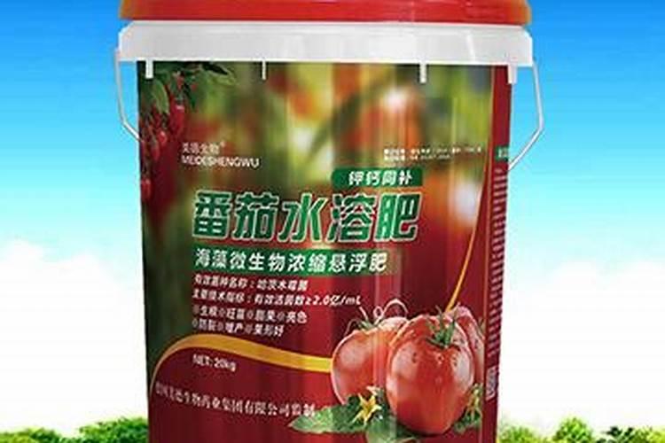 番茄怎么施肥才能高产