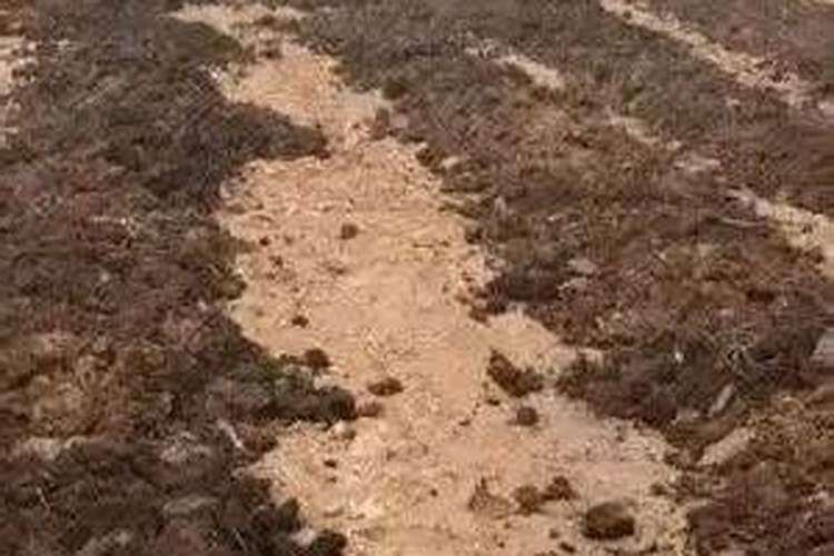 磷肥和钙肥能一起用吗 磷肥是酸性还是碱性的