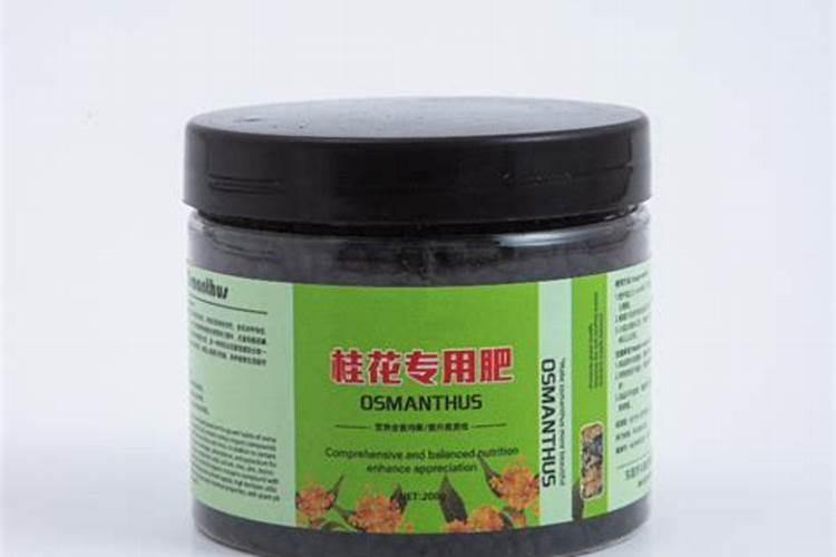 桂花树专用肥有哪些