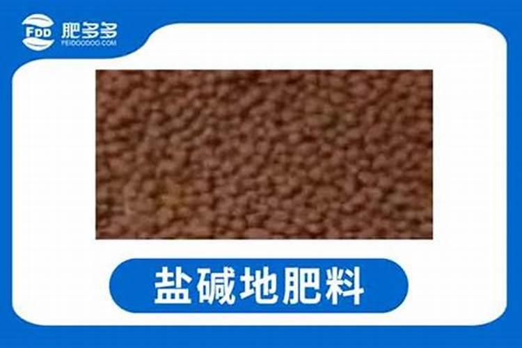 什么肥料可以治盐碱地 治盐碱地主要用什么方法