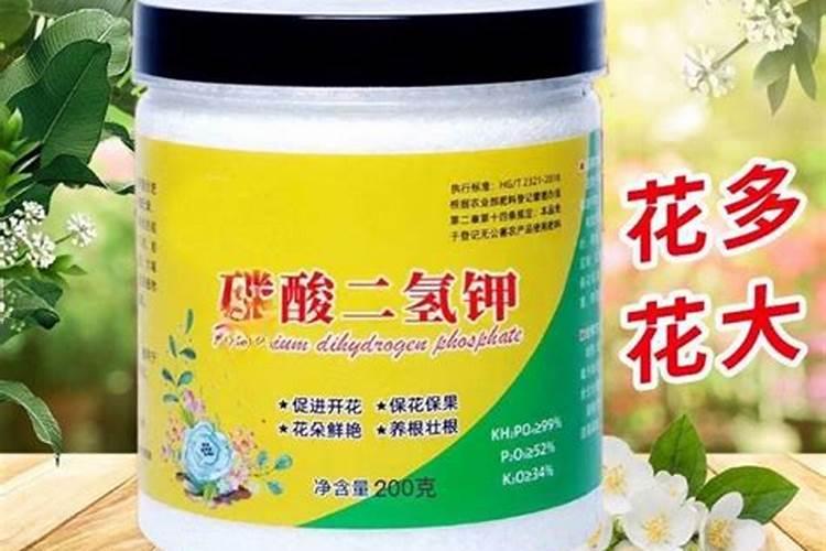 可以用磷酸二氢钾来浇花吗？